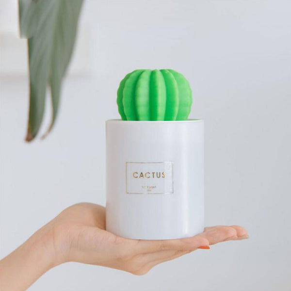 Cactus Mini Humidifier