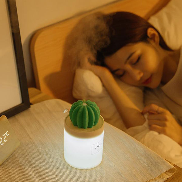 Cactus Mini Humidifier