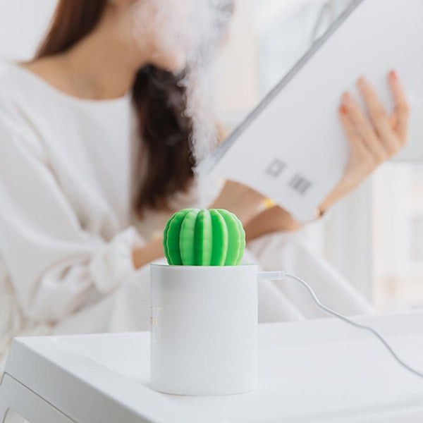 Cactus Mini Humidifier