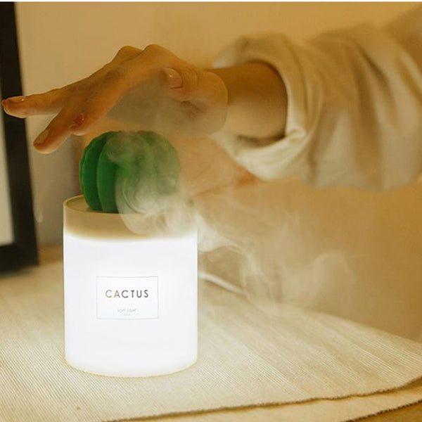 Cactus Mini Humidifier