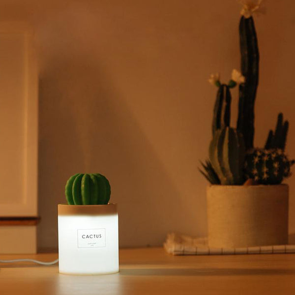 Cactus Mini Humidifier