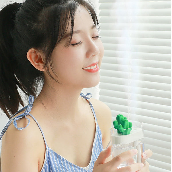 Cactus Air Humidifier